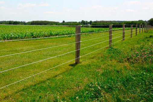 Electric Fence in a field