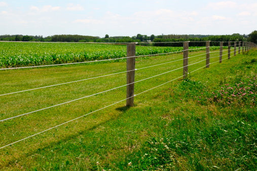 Electric Fence in a field
